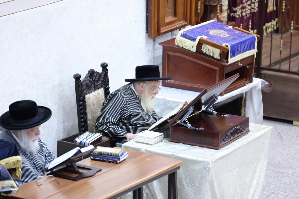 יום שכולו תורה ב'תולדות אהרן'