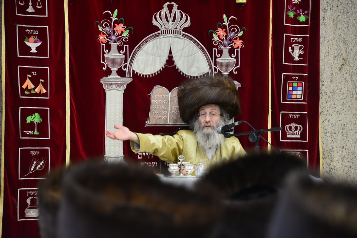 הרה"צ רבי אלימלך בידרמן באשדוד