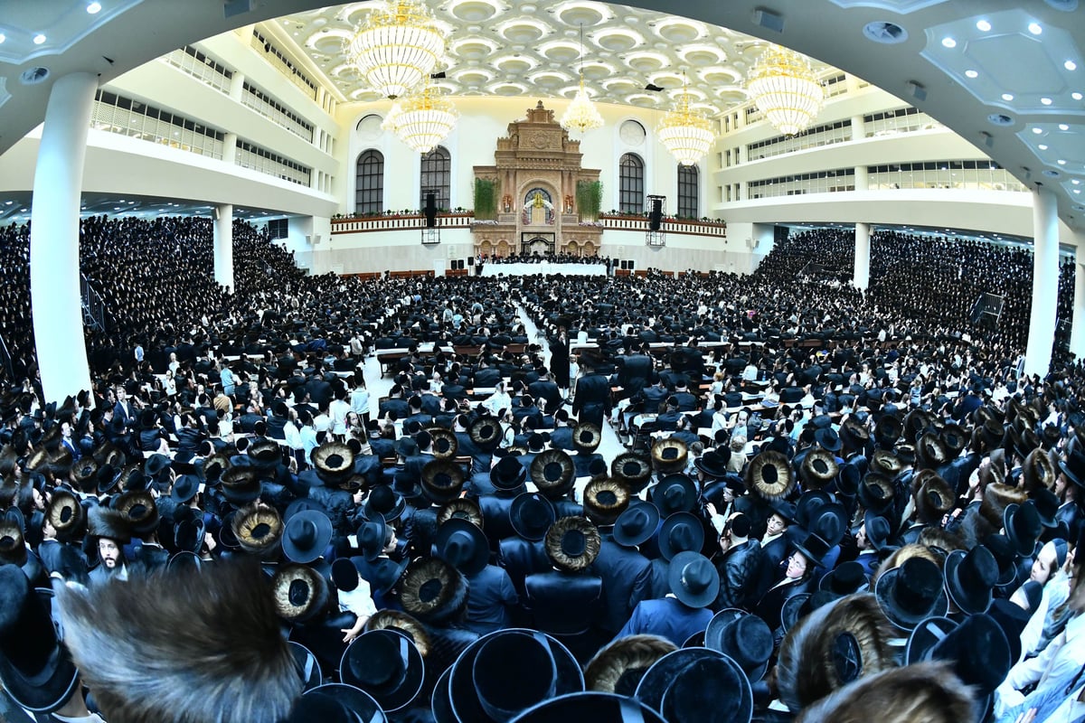 חג השבועות בצל האדמו"ר מויז'ניץ