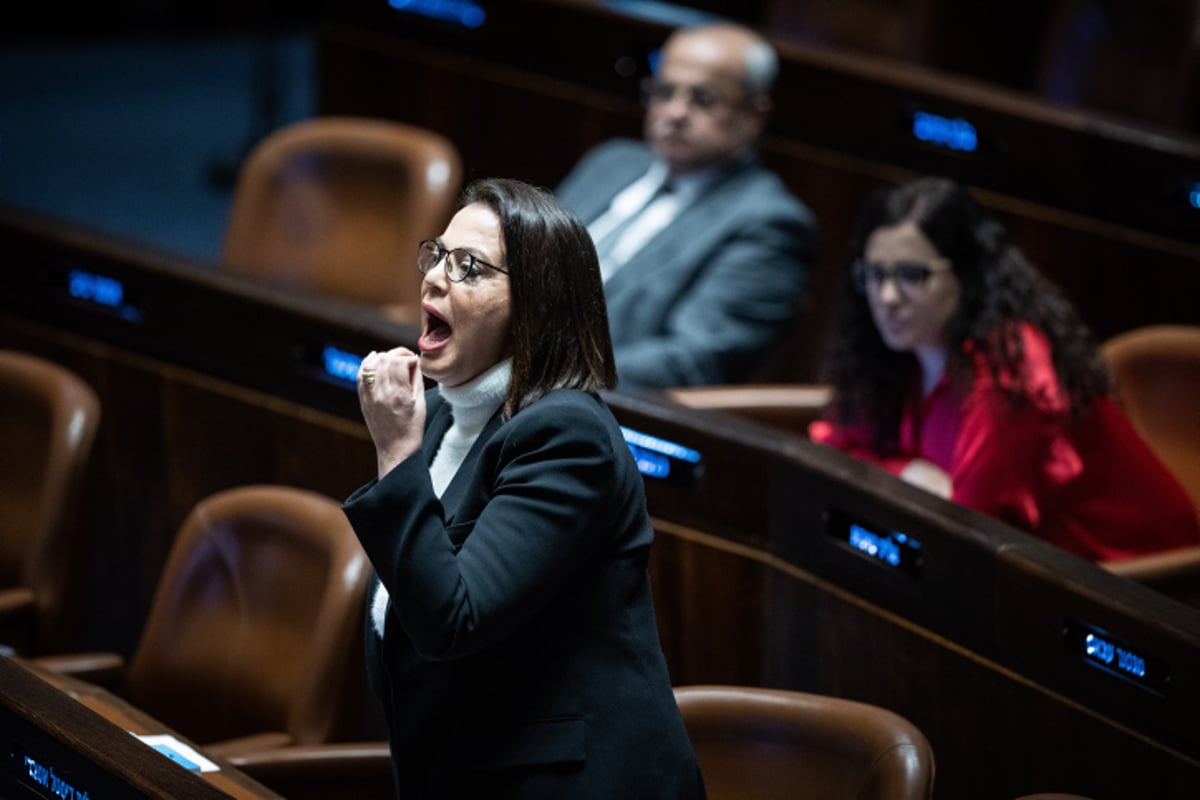 ח"כ דיסטל במליאה | ארכיון