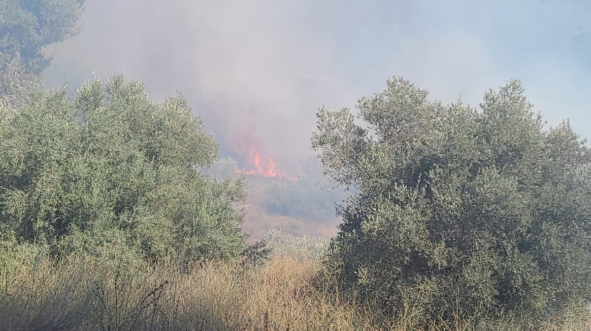 השריפה סמוך לשורש