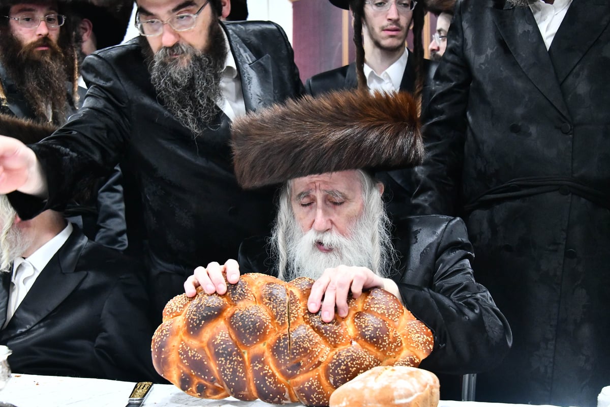 שמחת בית מכנובקא בעלזא - קרעטשניף - ווערצקי