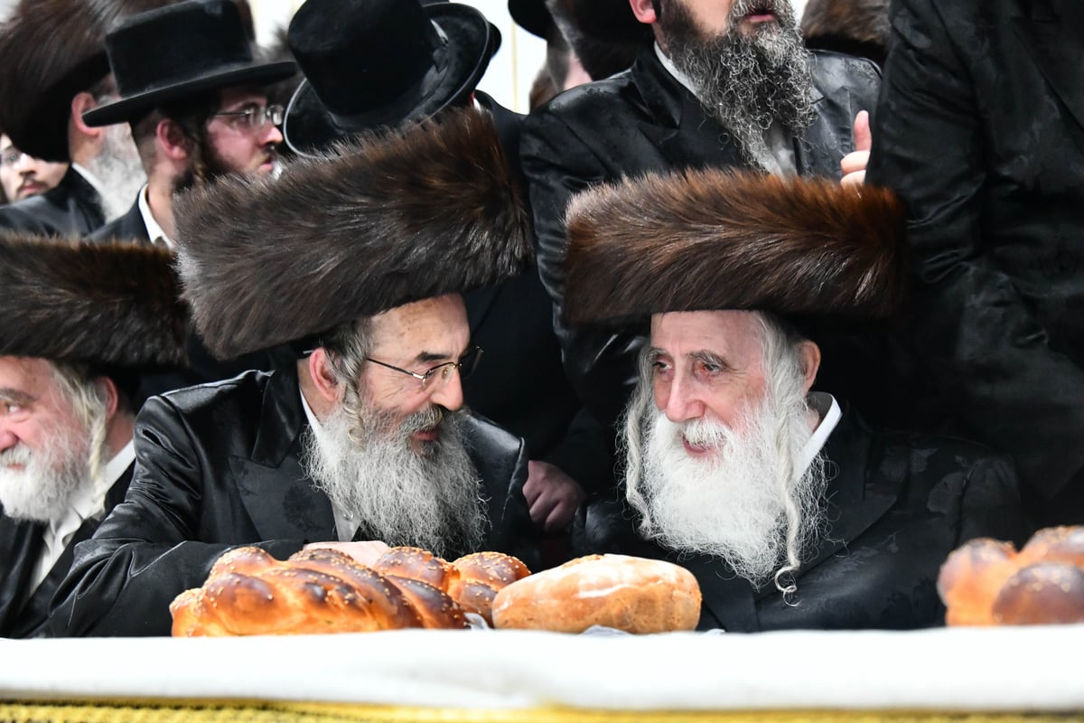 שמחת בית מכנובקא בעלזא - קרעטשניף - ווערצקי