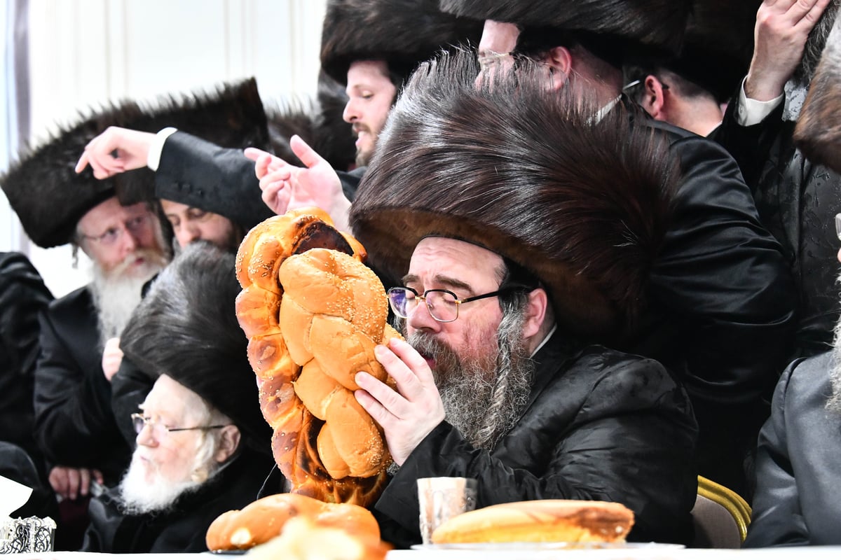 שמחת בית מכנובקא בעלזא - קרעטשניף - ווערצקי