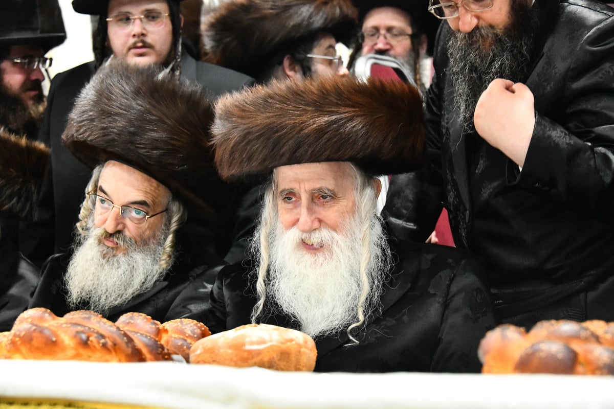 שמחת בית מכנובקא בעלזא - קרעטשניף - ווערצקי