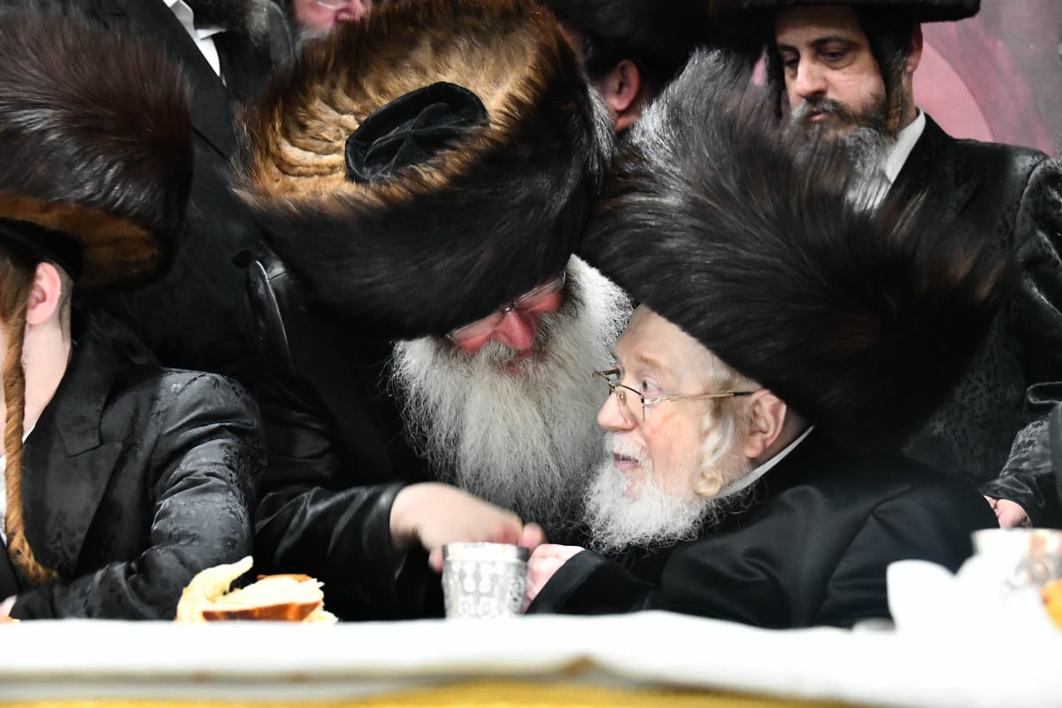 שמחת בית מכנובקא בעלזא - קרעטשניף - ווערצקי