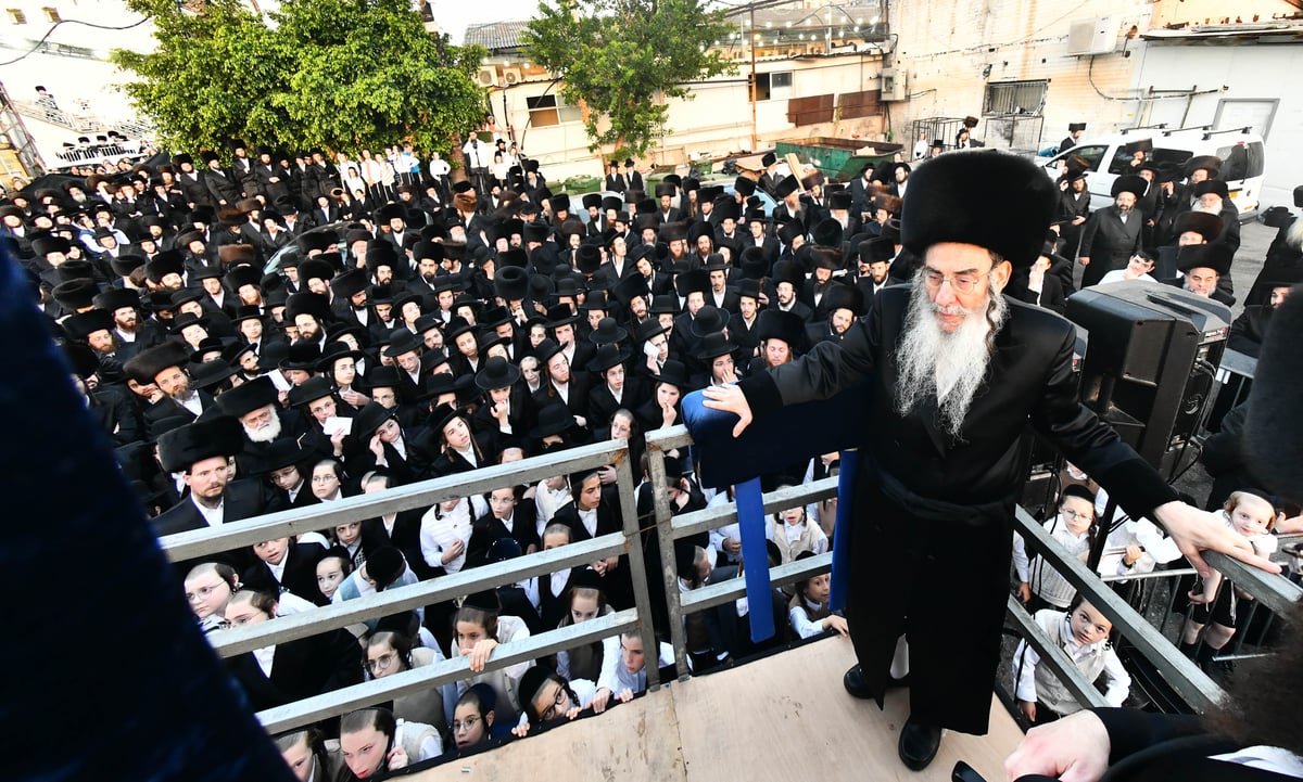 שמחת בית אמשינוב - אלכסנדר