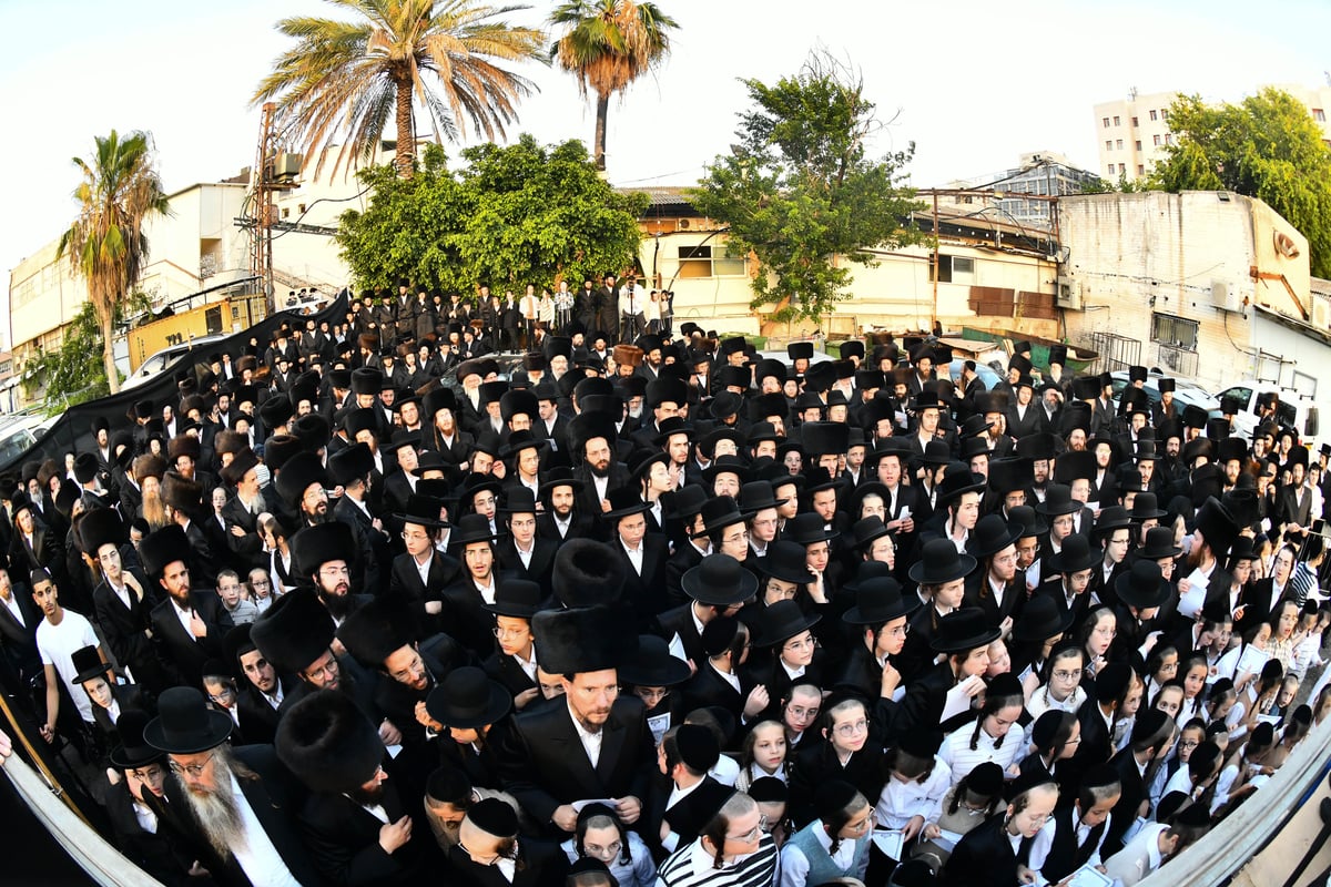 שמחת בית אמשינוב - אלכסנדר