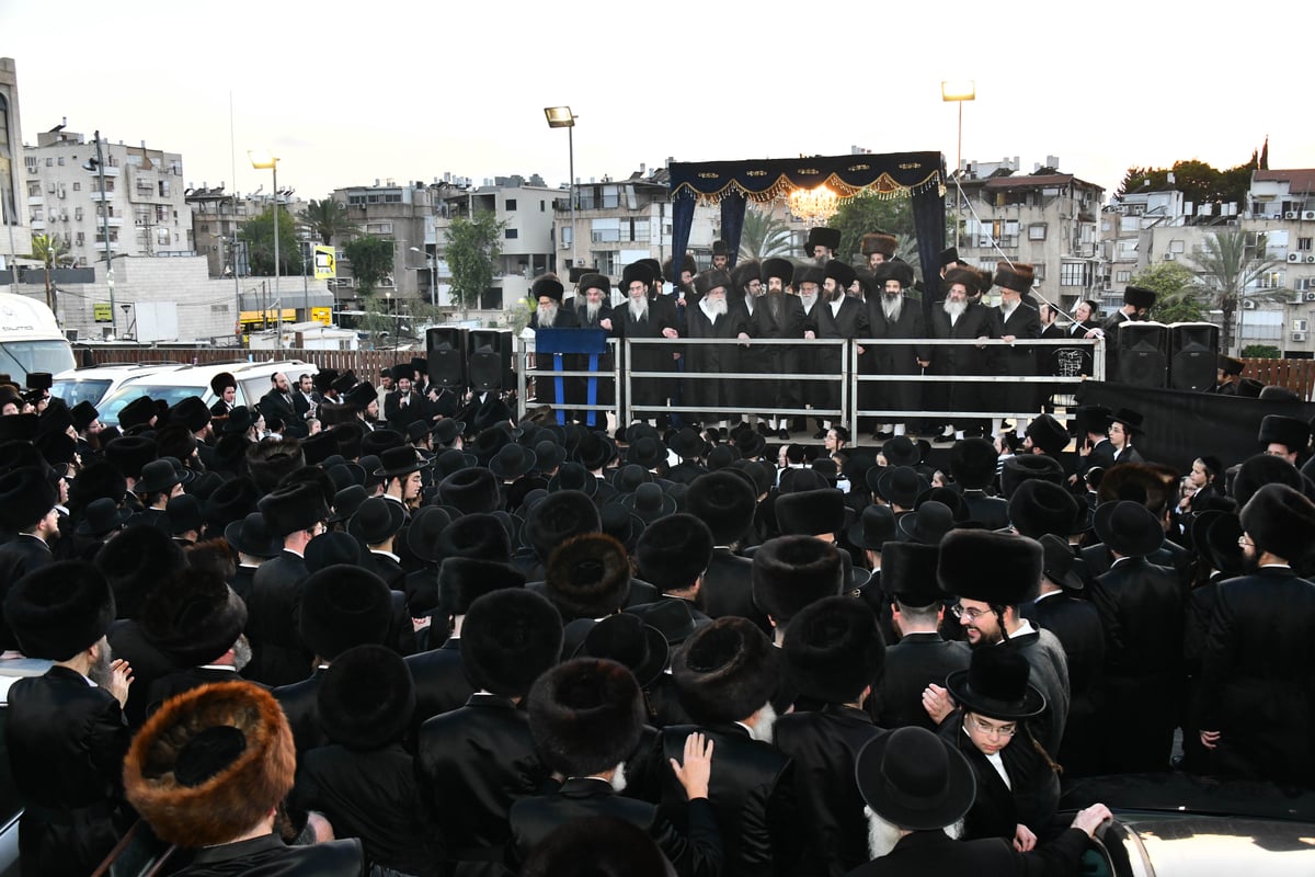 שמחת בית אמשינוב - אלכסנדר