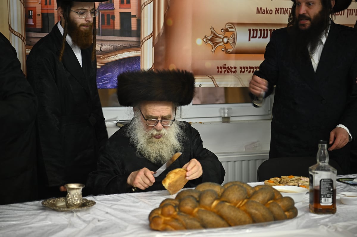 הילולת הרה"ק ממאקאווא