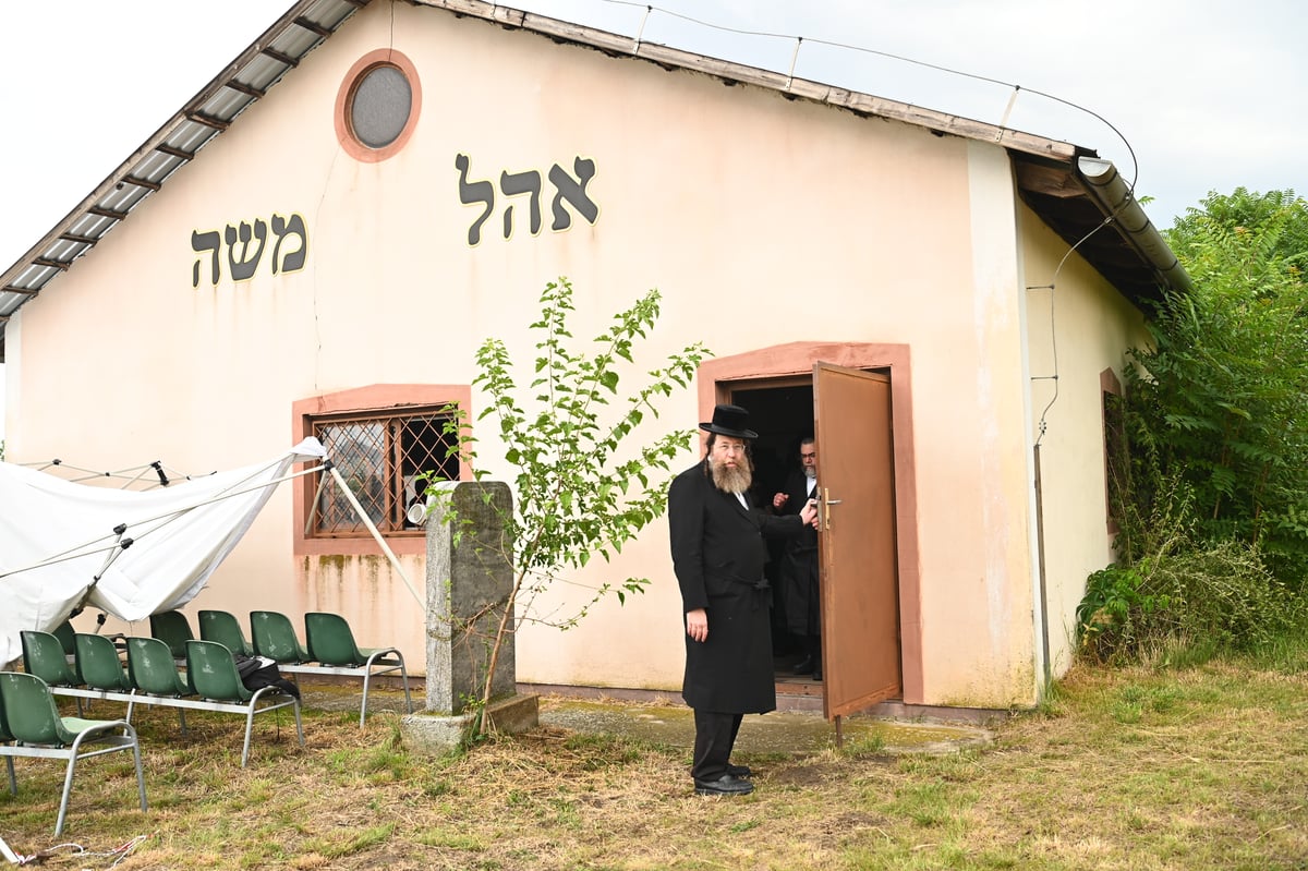 הילולת הרה"ק ממאקאווא