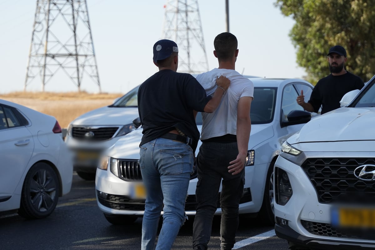 פעילות הכוחות