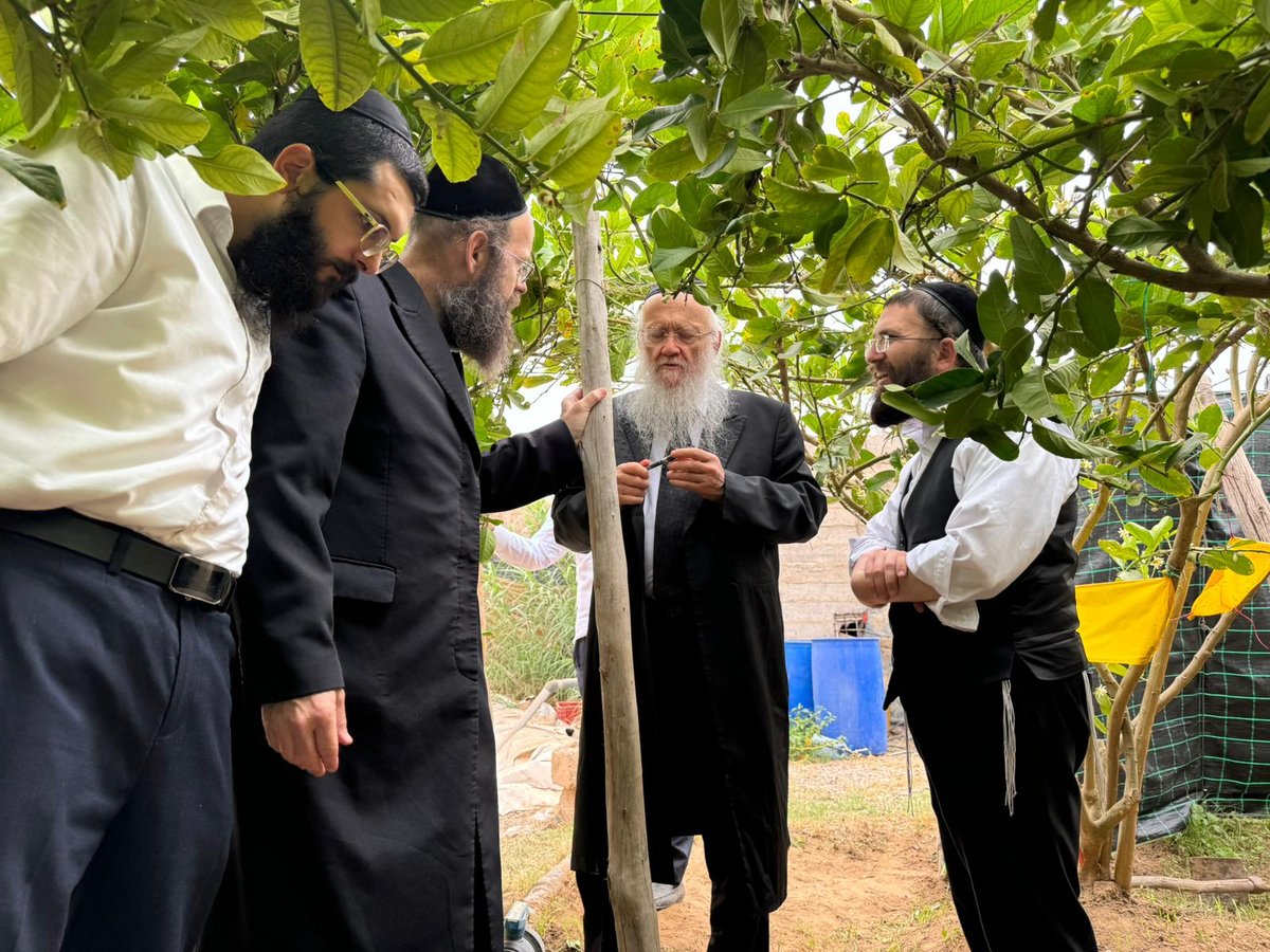 זופניק בכיכר • כל התמונות, הנייעס והחשיפות של השבוע