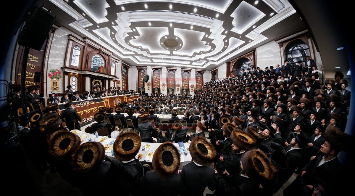 הכנסת ספר תורה בחצה"ק ויז'ניץ במאנסי