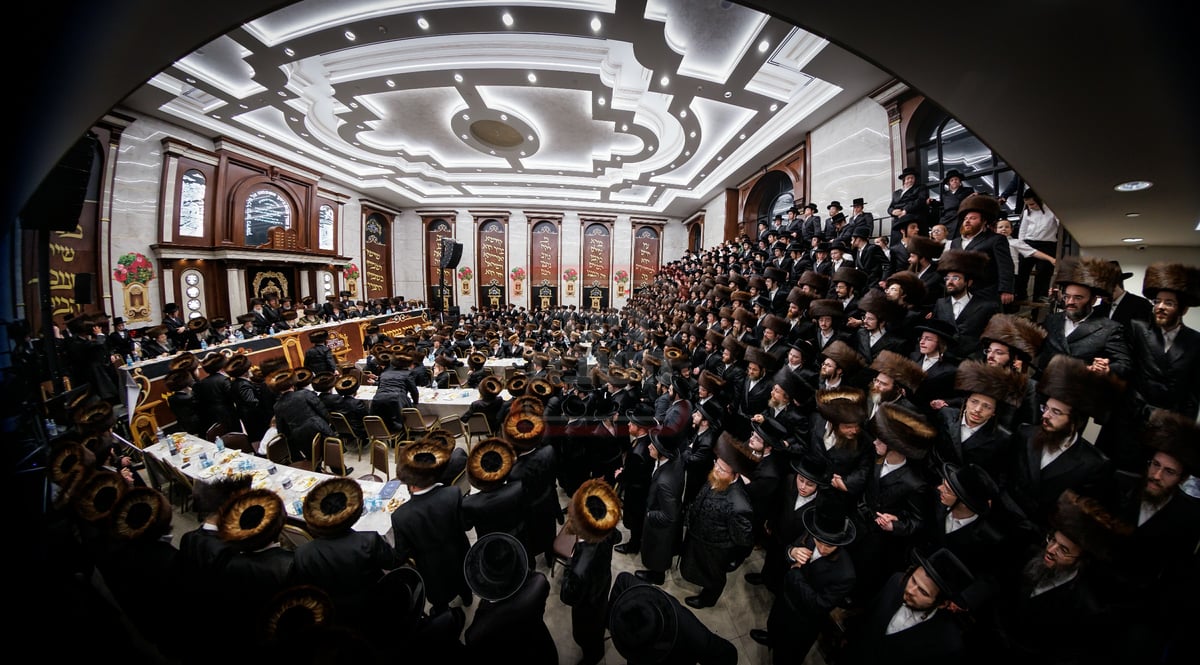 הכנסת ספר תורה בחצה"ק ויז'ניץ במאנסי