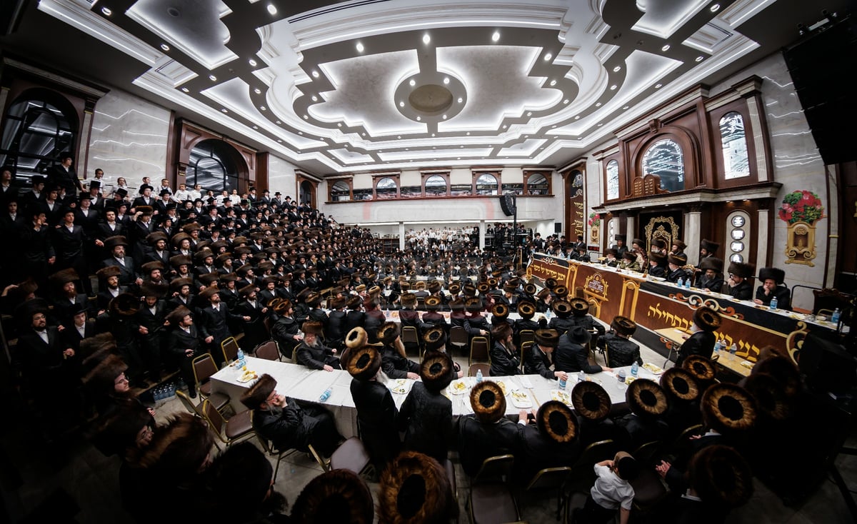 הכנסת ספר תורה בחצה"ק ויז'ניץ במאנסי