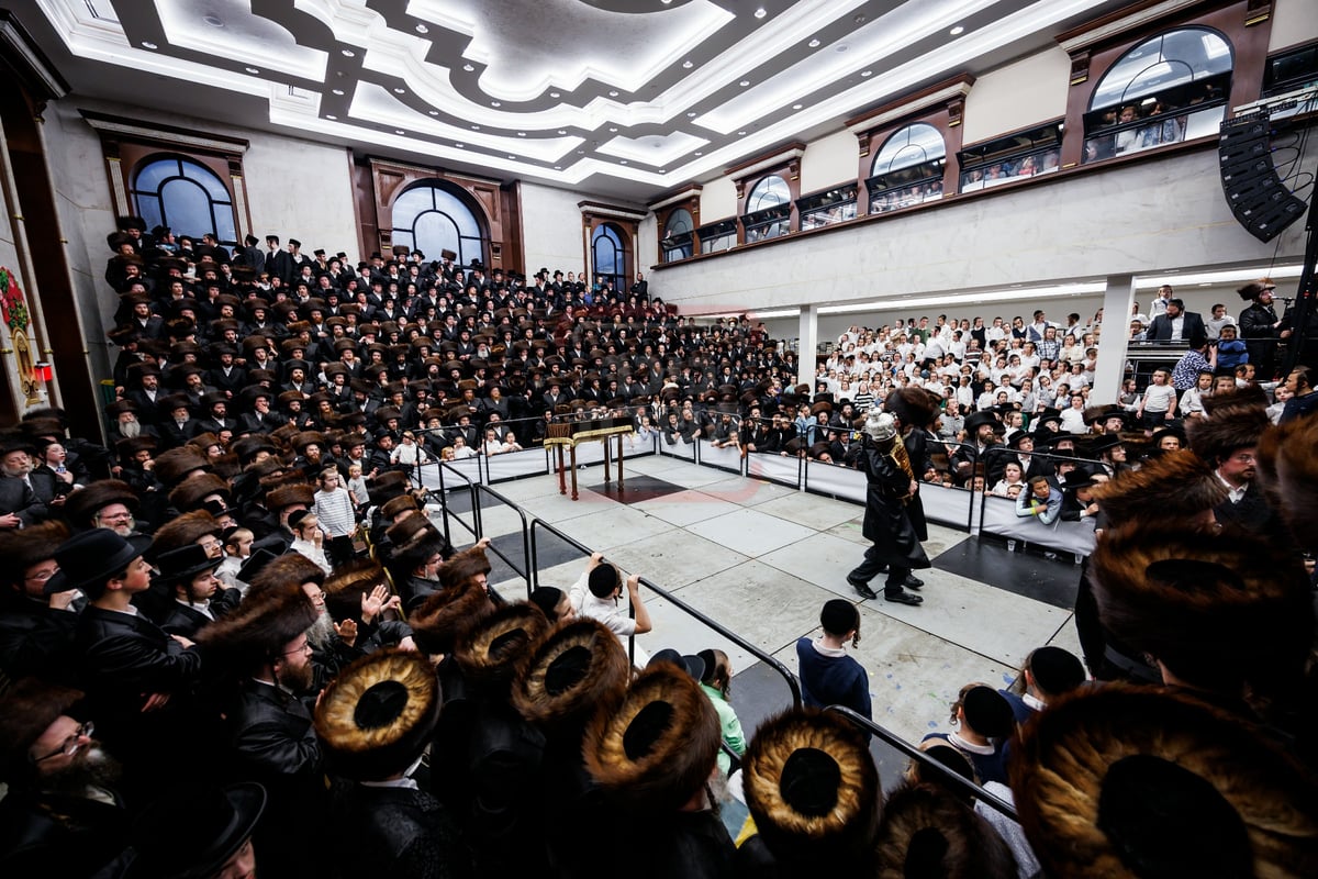 הכנסת ספר תורה בחצה"ק ויז'ניץ במאנסי