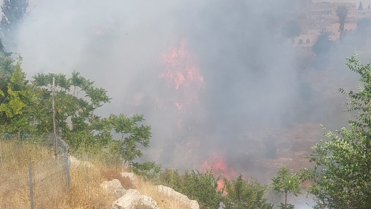 השריפה בשכונת גילה בירושלים