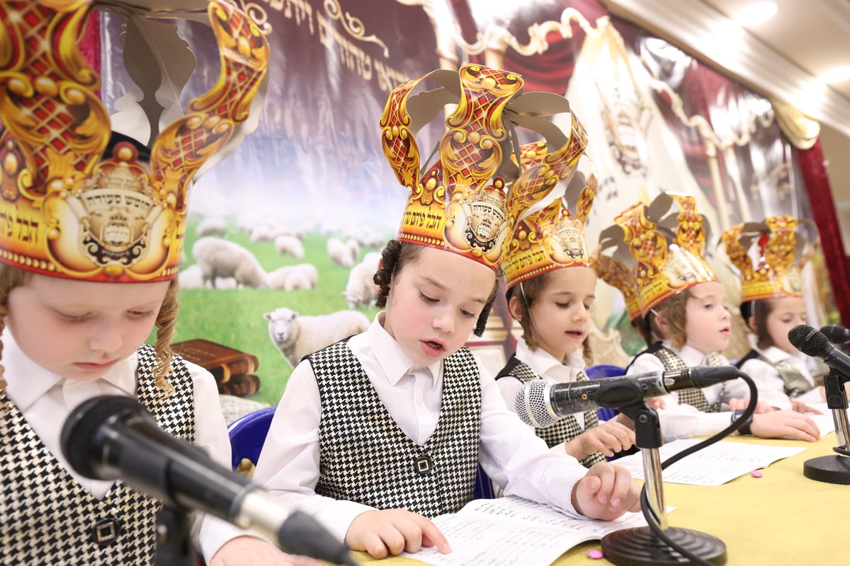 מסיבת חומר בת"ת 'זרע קודש'