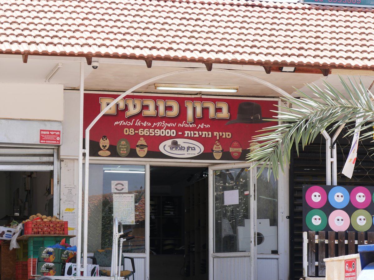 נתיבות