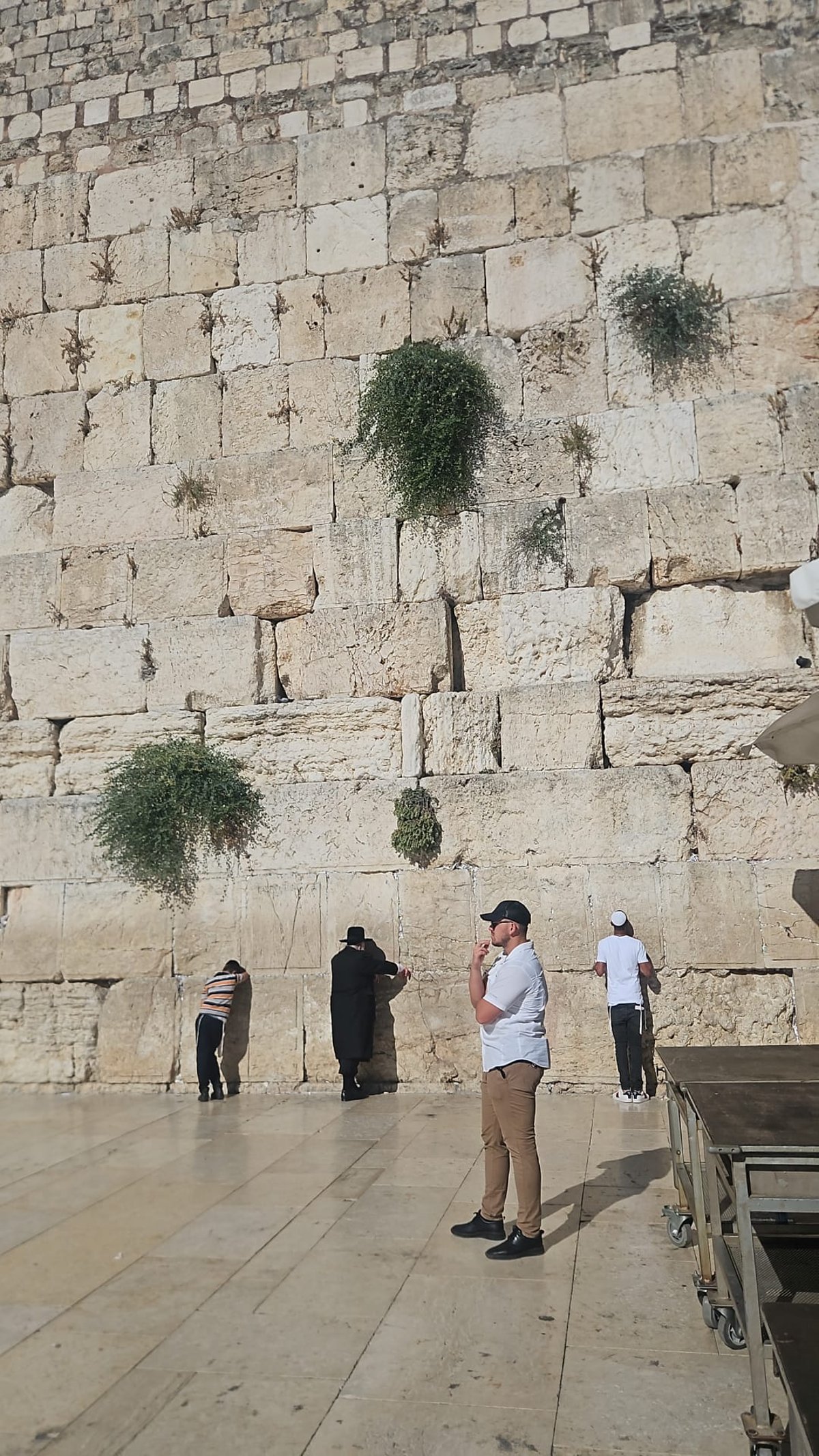 זופניק בכיכר • כל התמונות, הנייעס והחשיפות של השבוע