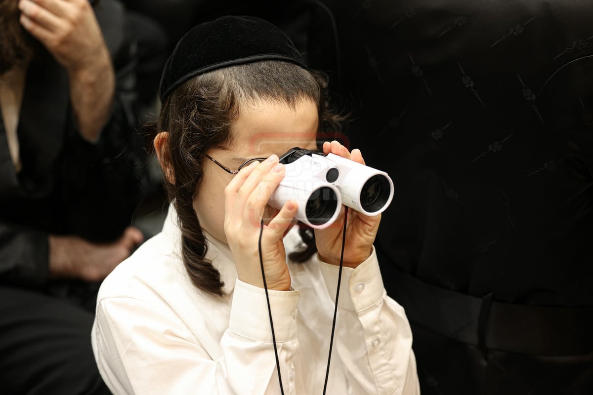 שמחת בית ויז'ניץ