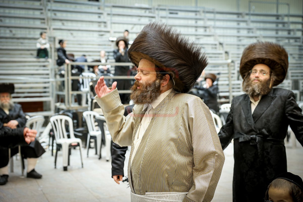 שמחת בית ויז'ניץ