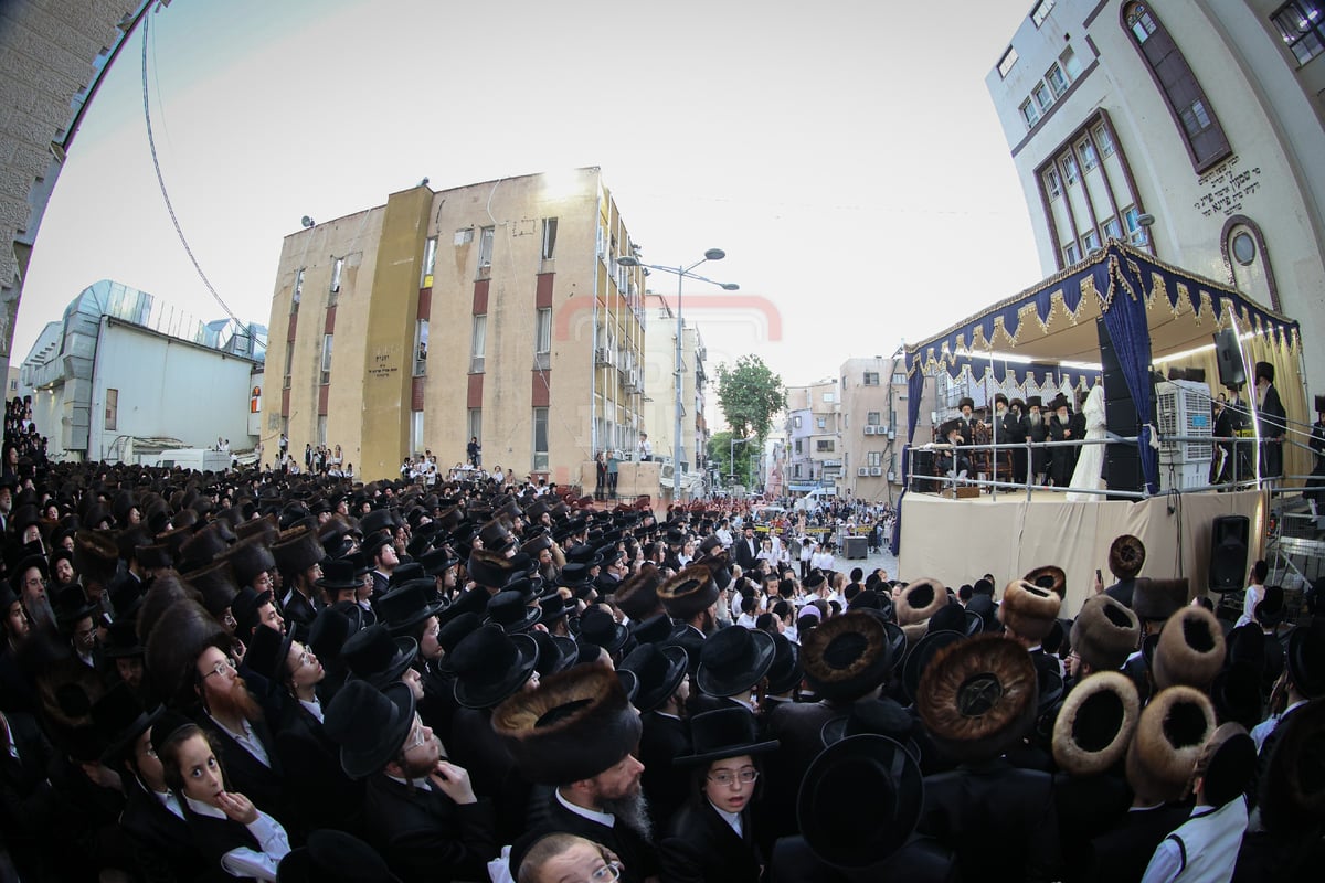 שמחת בית ויז'ניץ