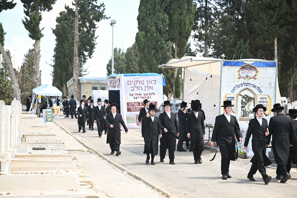 בעליה לציון הק' ביום ההילולא