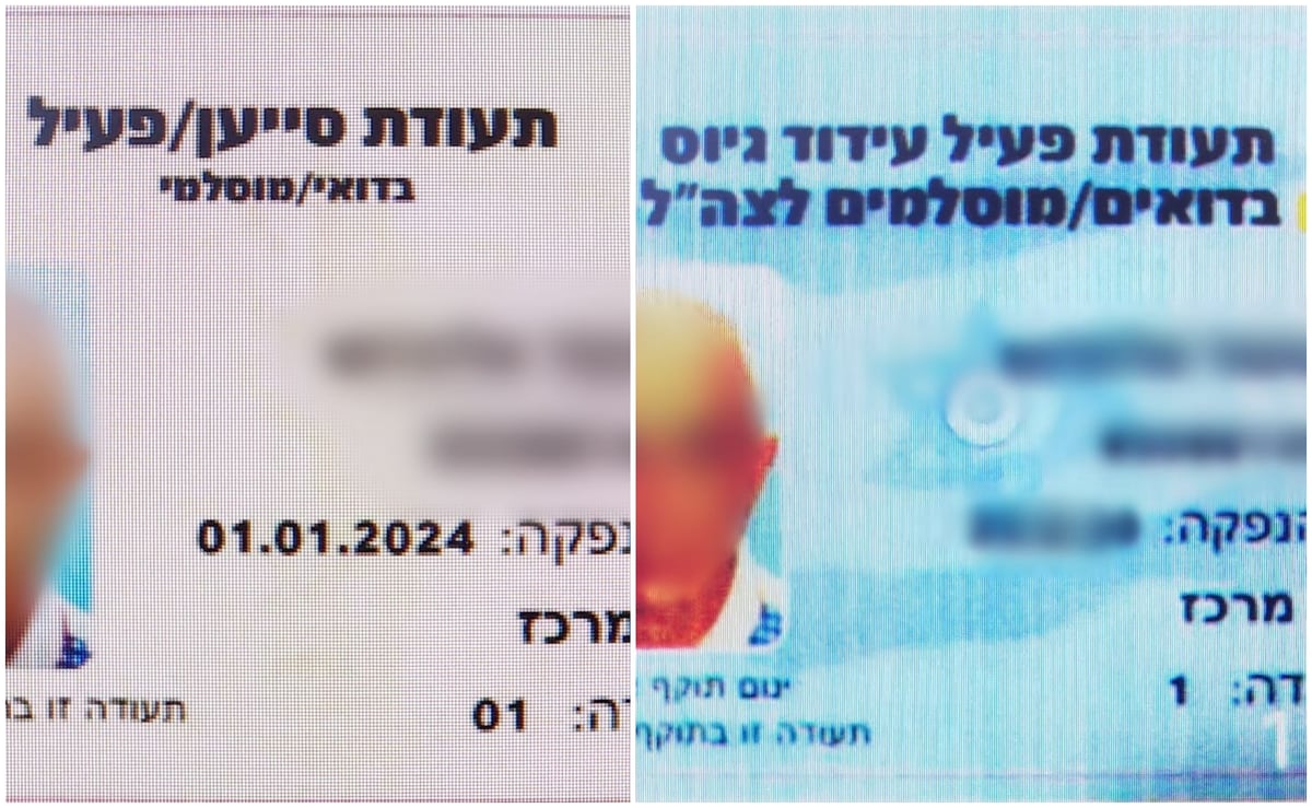 התעודות שהונפקו