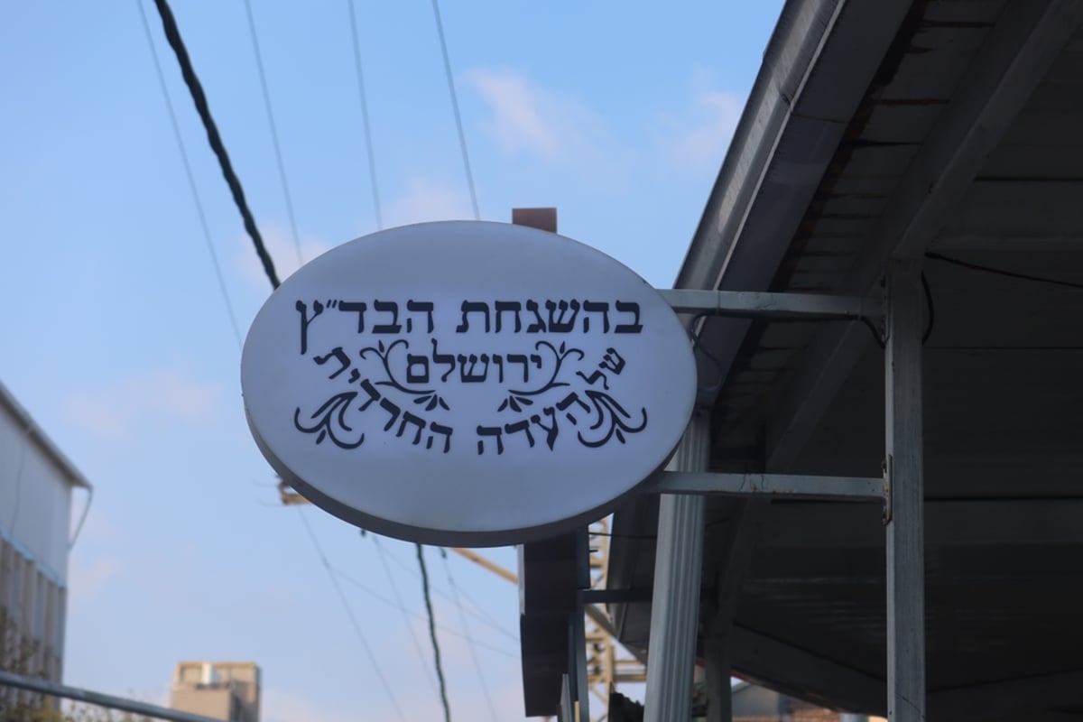 שלט