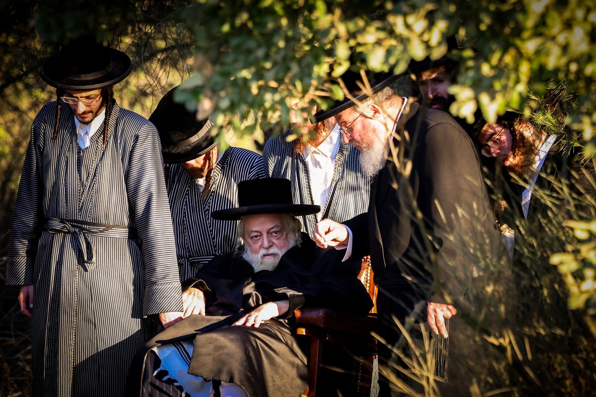 האדמו"ר מתולדות אברהם יצחק בנאות דשא ב'הר יונה'