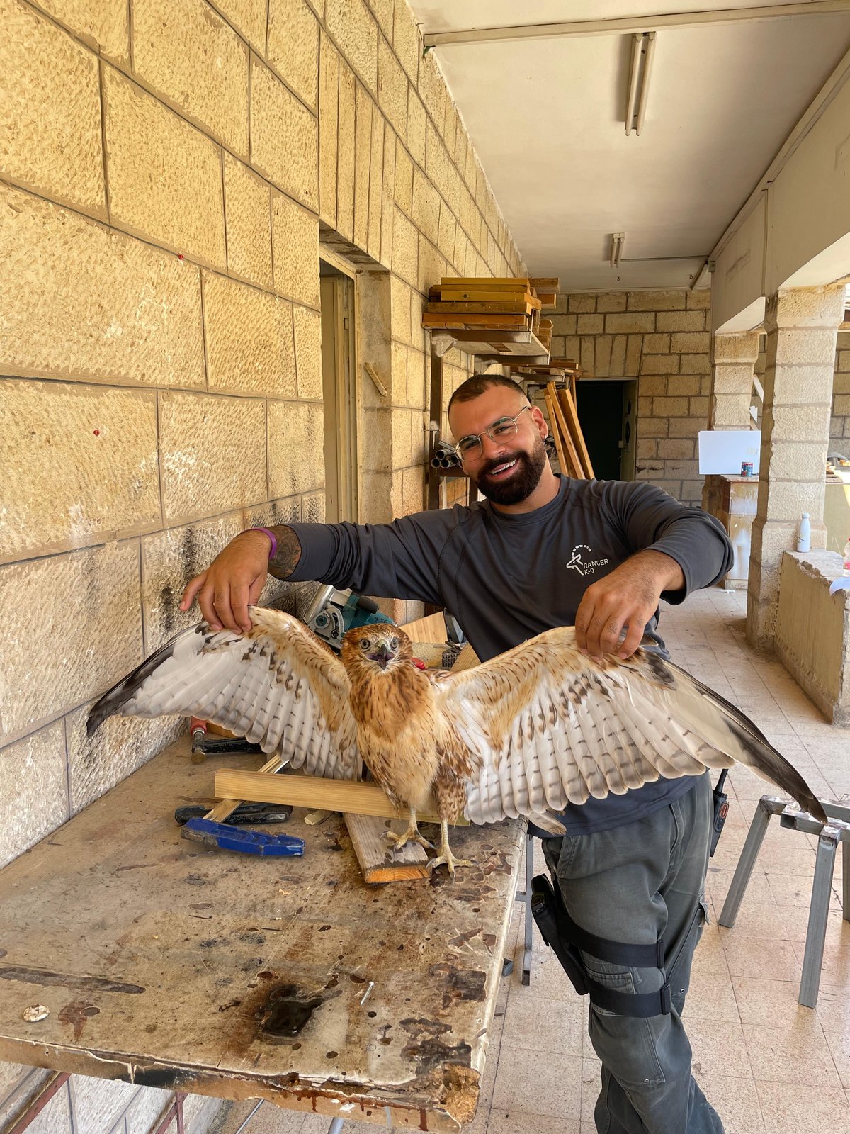 עקב עיטי בלע פקק של בקבוק; כך הוא ניצל | תיעוד