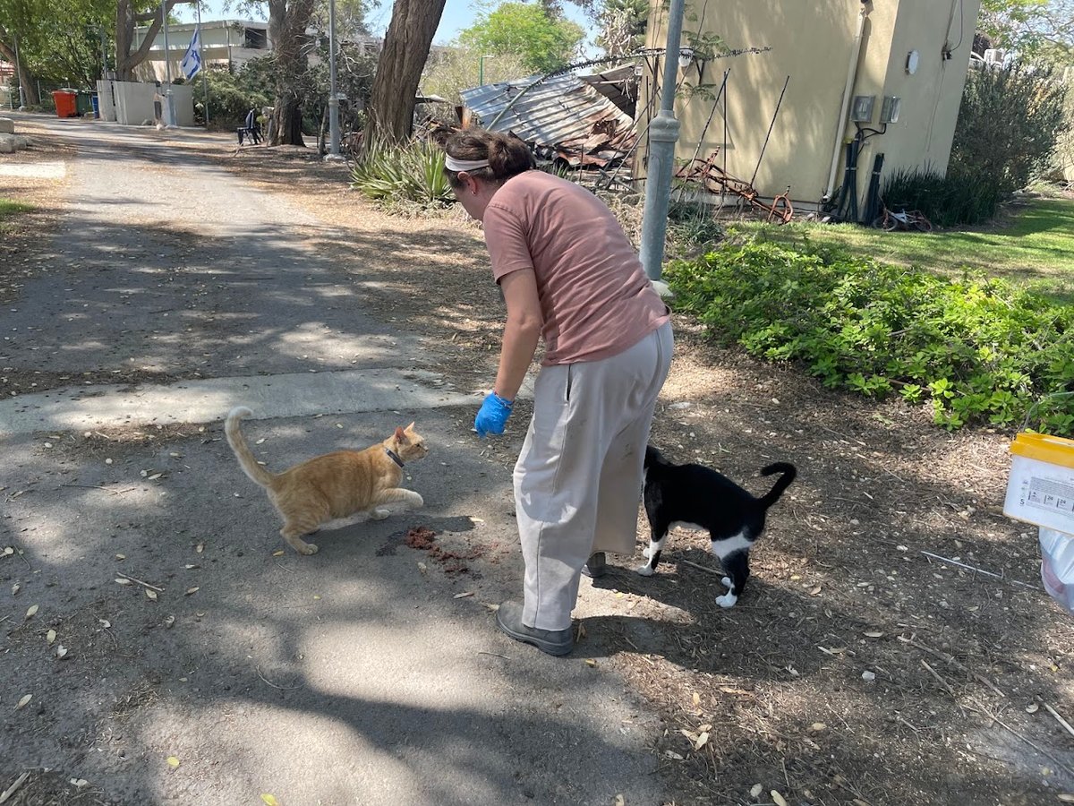 מאכילה את החתול של מאיה גורן הי"ד