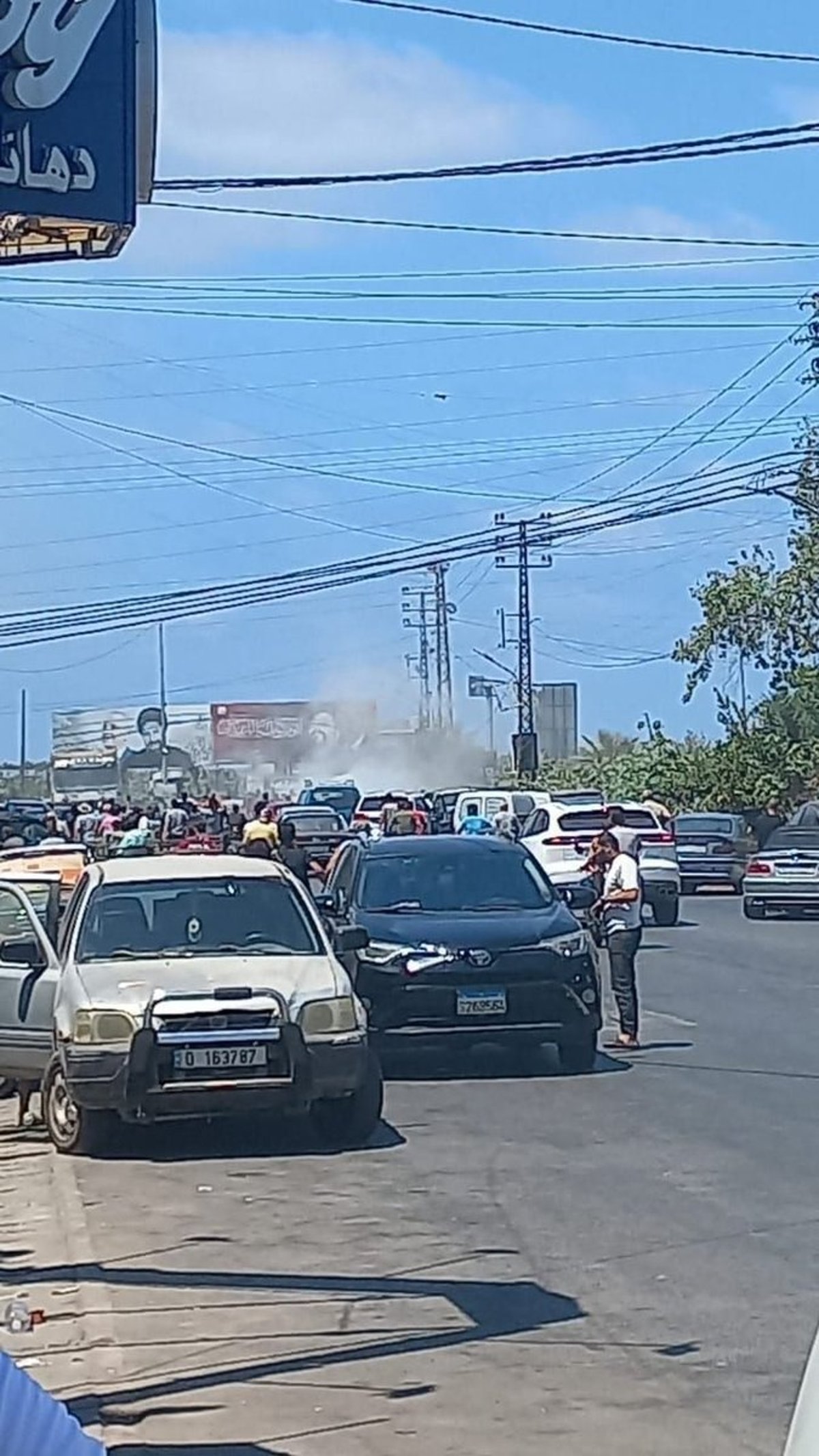 הסיכול הממוקד בדרום לבנון