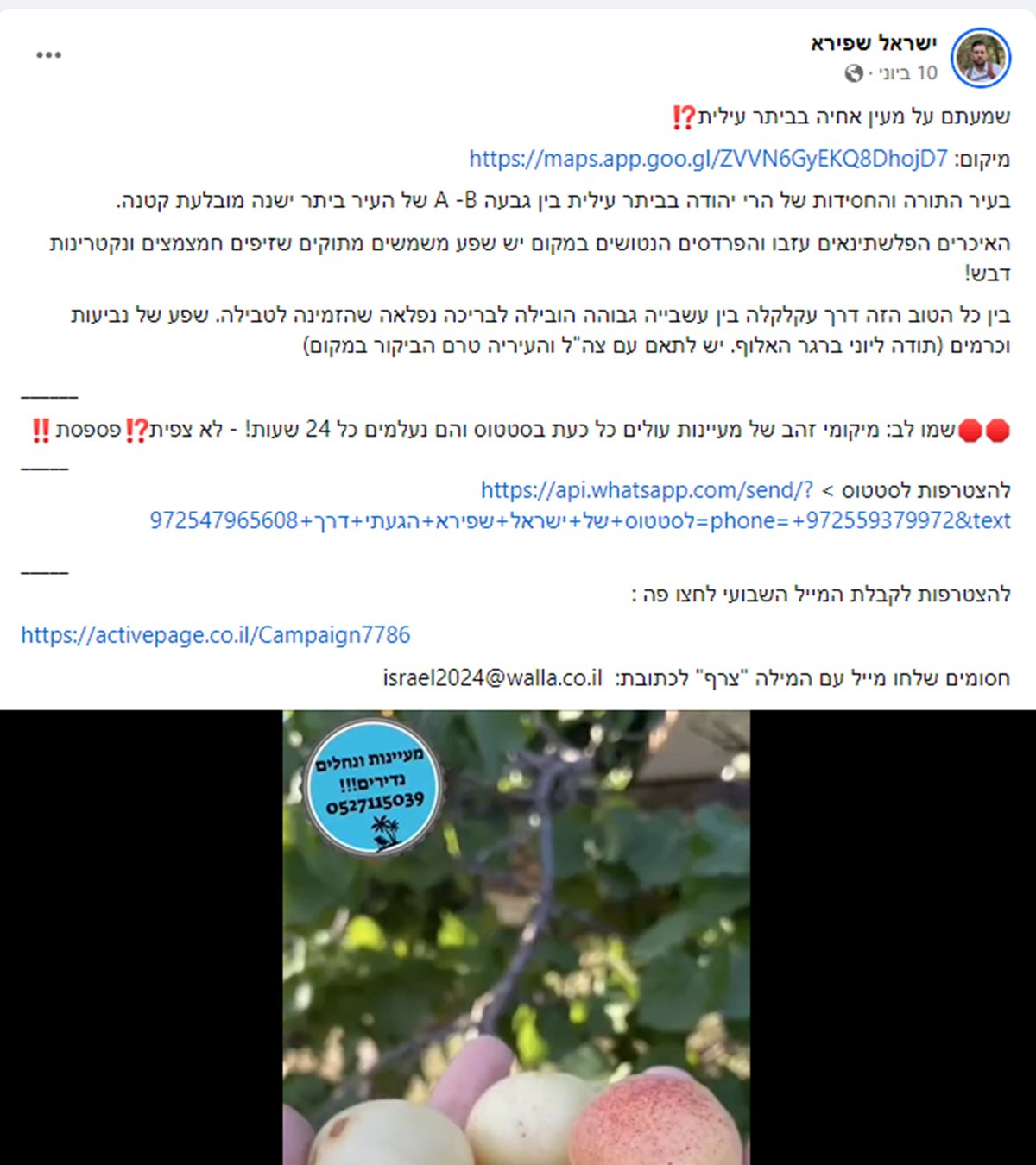 צילום מסך מהפוסט בפייסבוק של ישראל שפירא