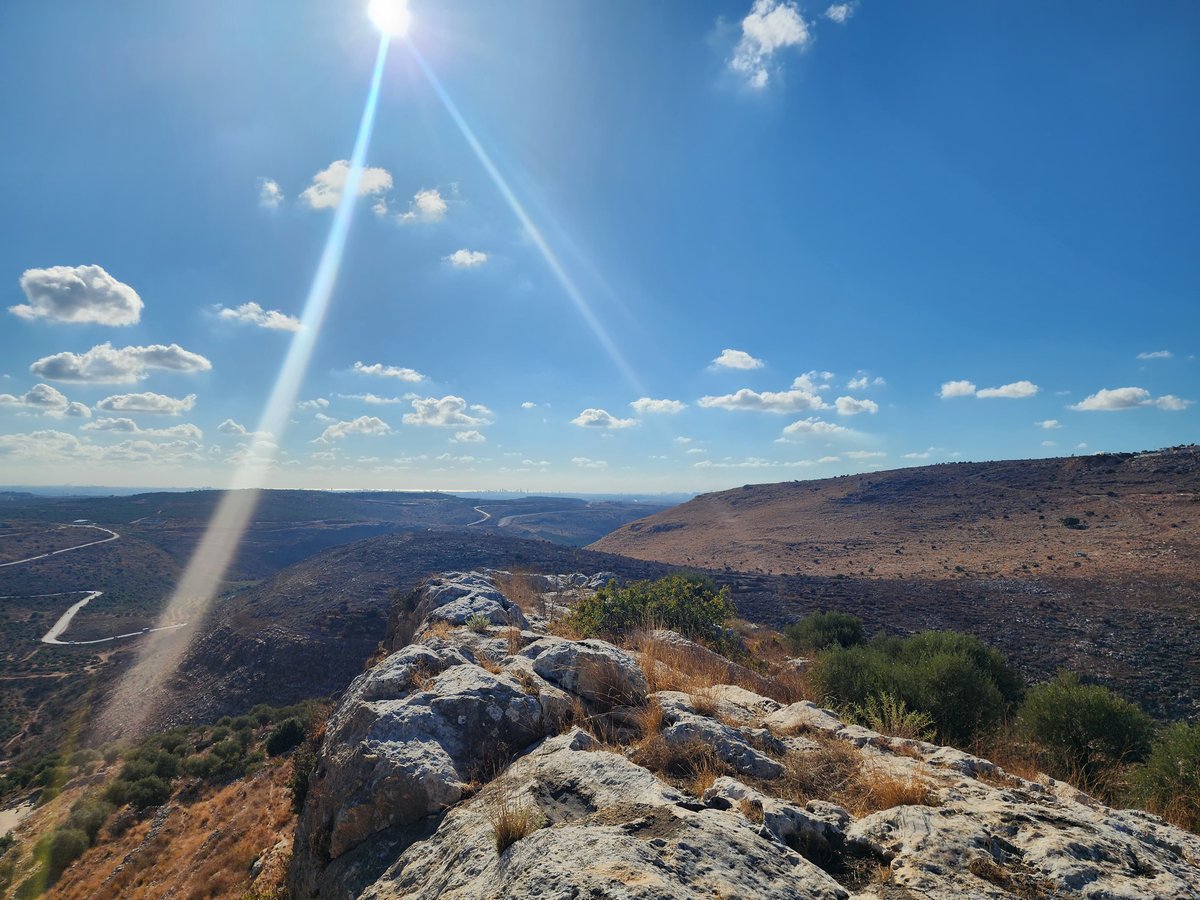 "תל צרדה" המקראית