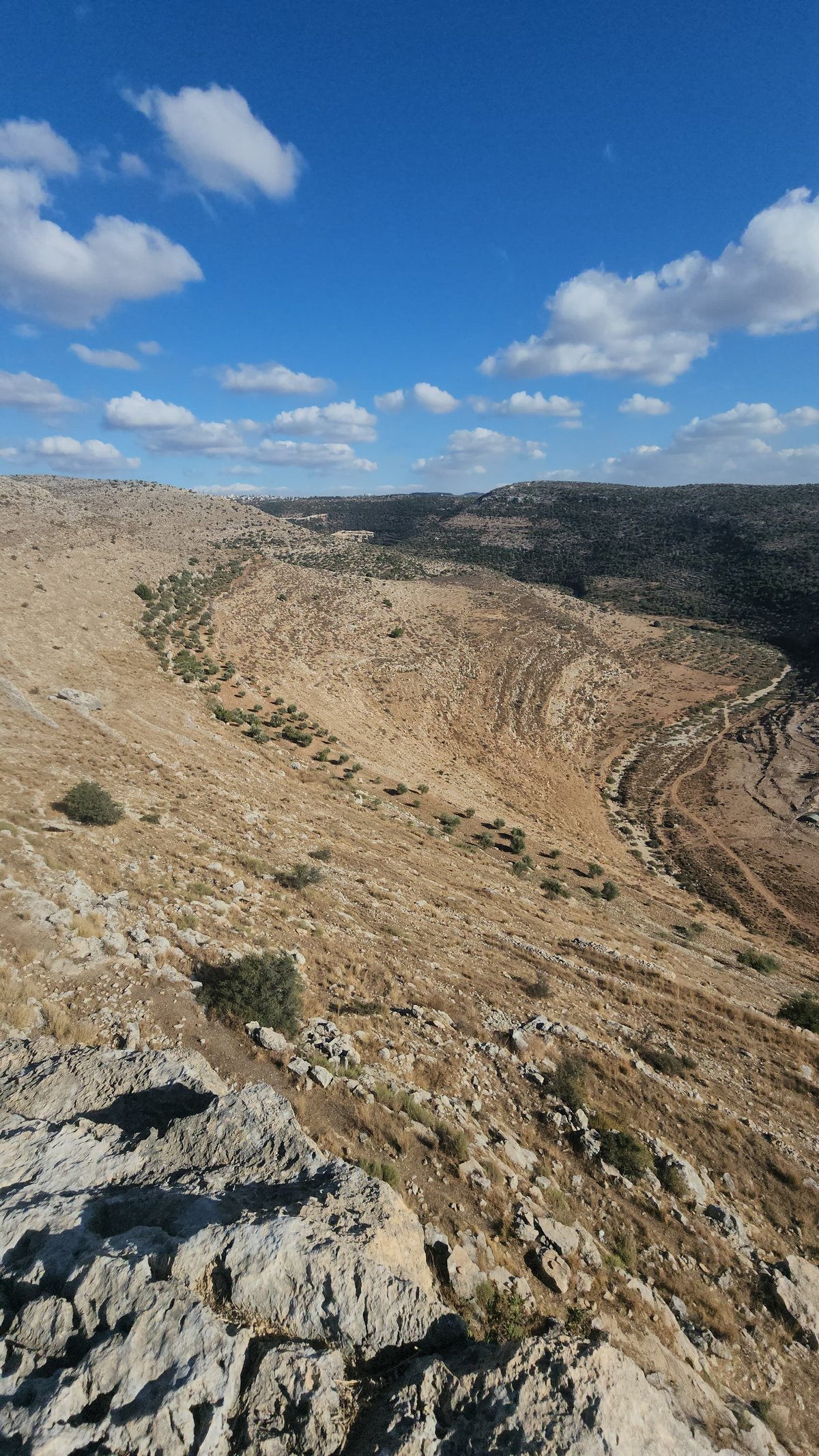 "תל צרדה" המקראית