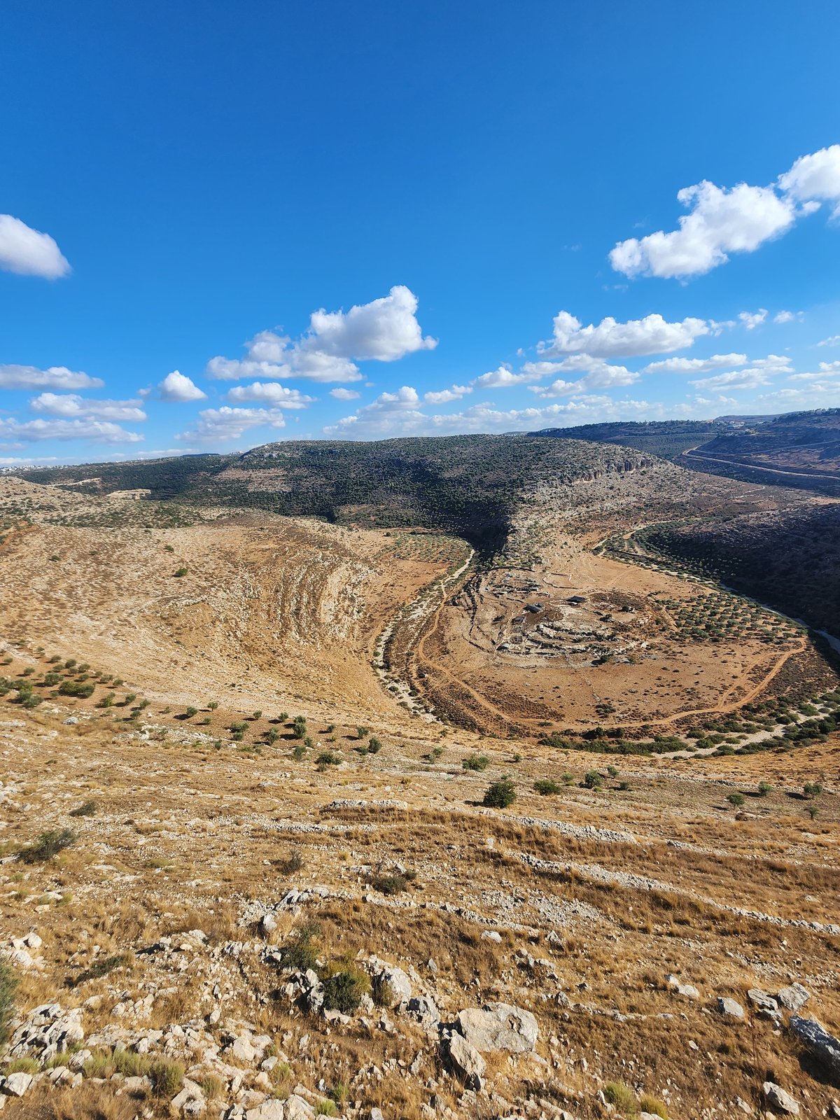 "תל צרדה" המקראית