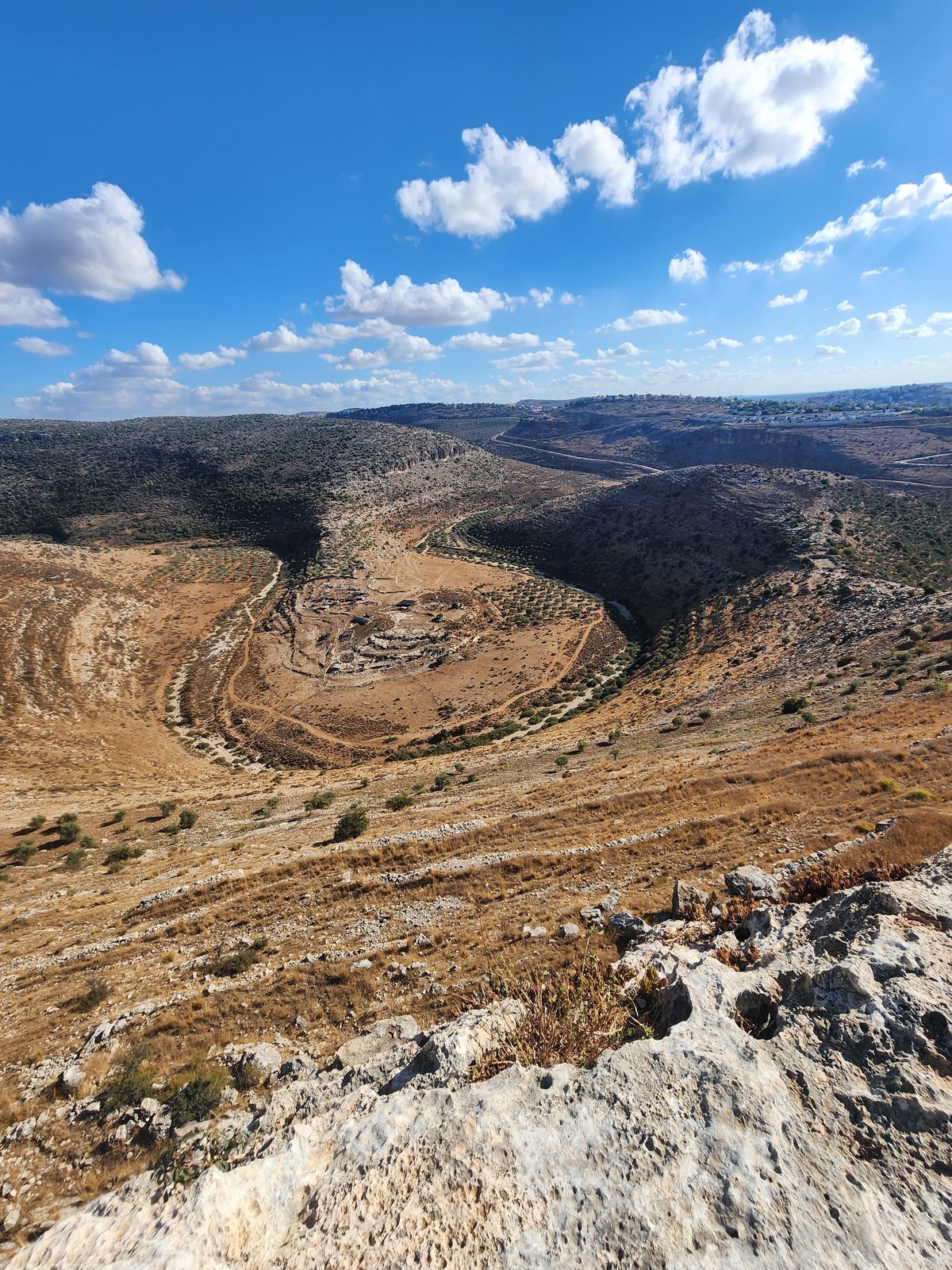 "תל צרדה" המקראית