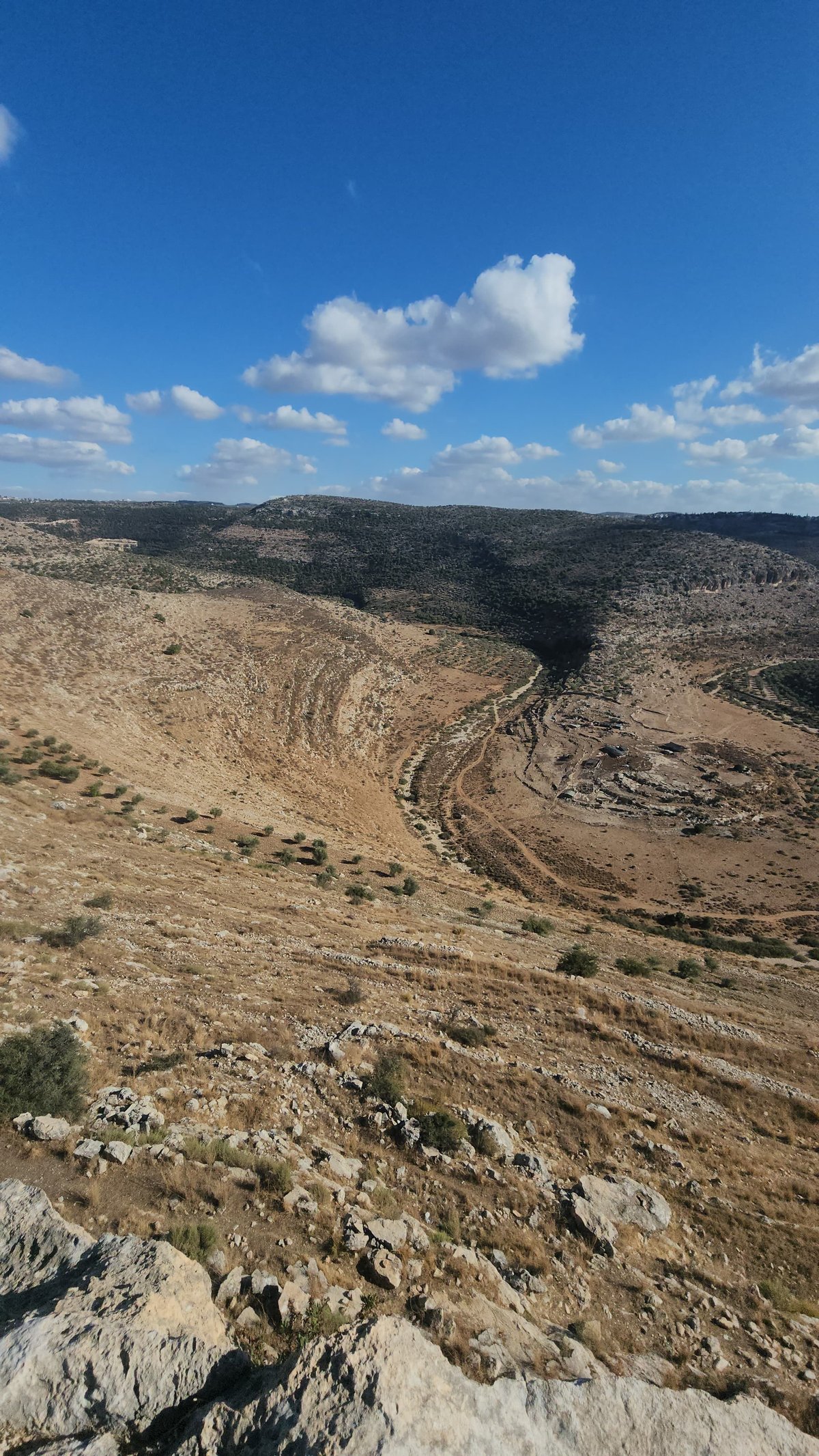 "תל צרדה" המקראית