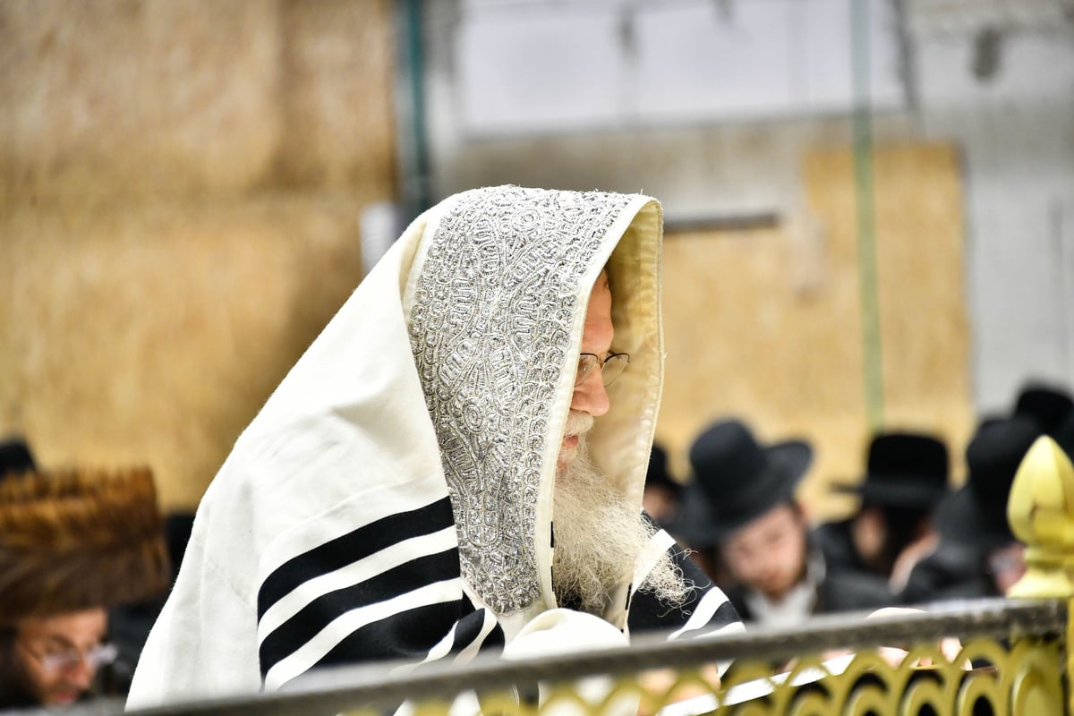 סליחות ראשונות בחצה"ק מודז'יץ