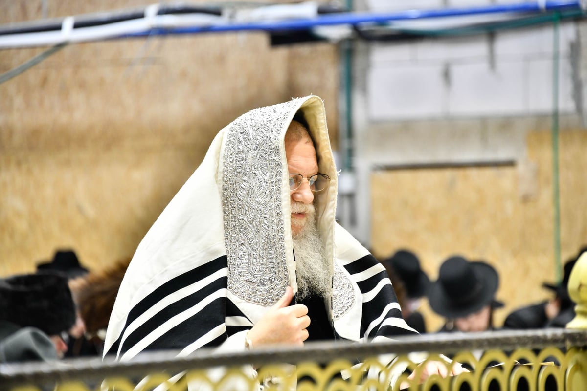 סליחות ראשונות בחצה"ק מודז'יץ