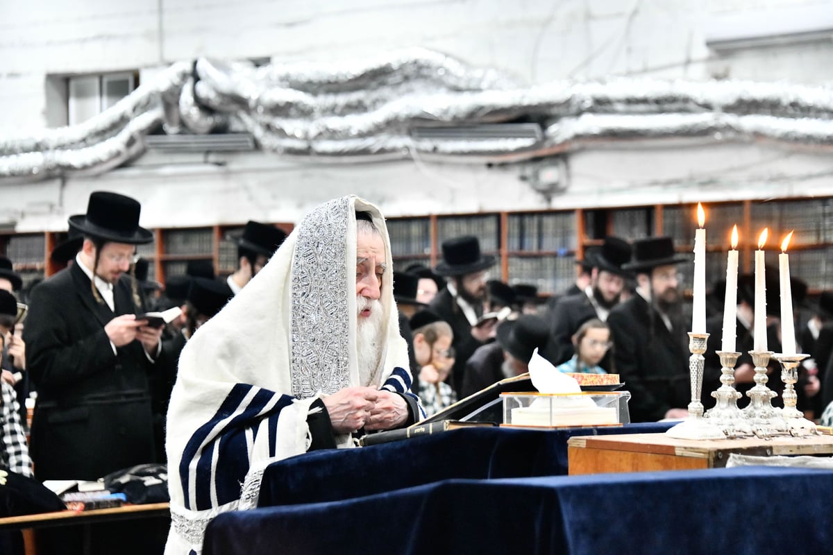 סליחות ראשונות בחצה"ק מכנובקא בעלזא 