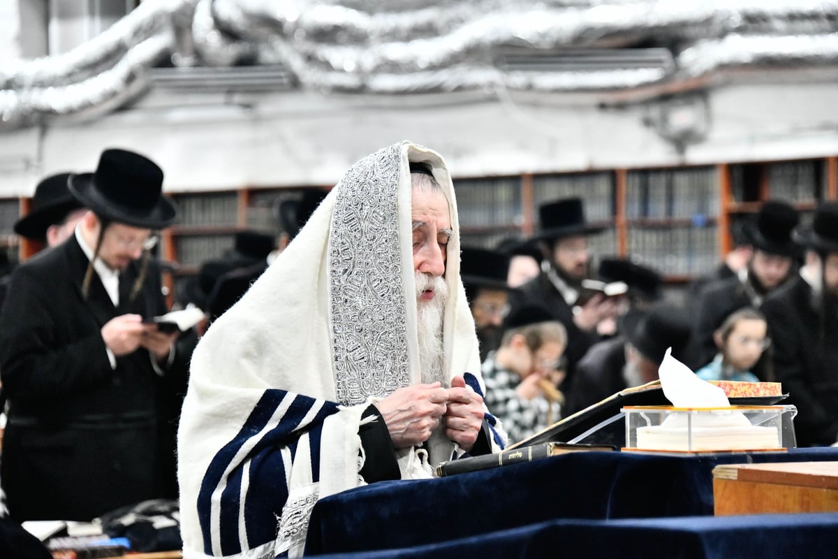 סליחות ראשונות בחצה"ק מכנובקא בעלזא 