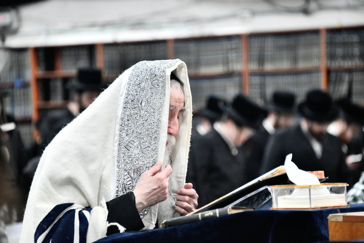 סליחות ראשונות בחצה"ק מכנובקא בעלזא 