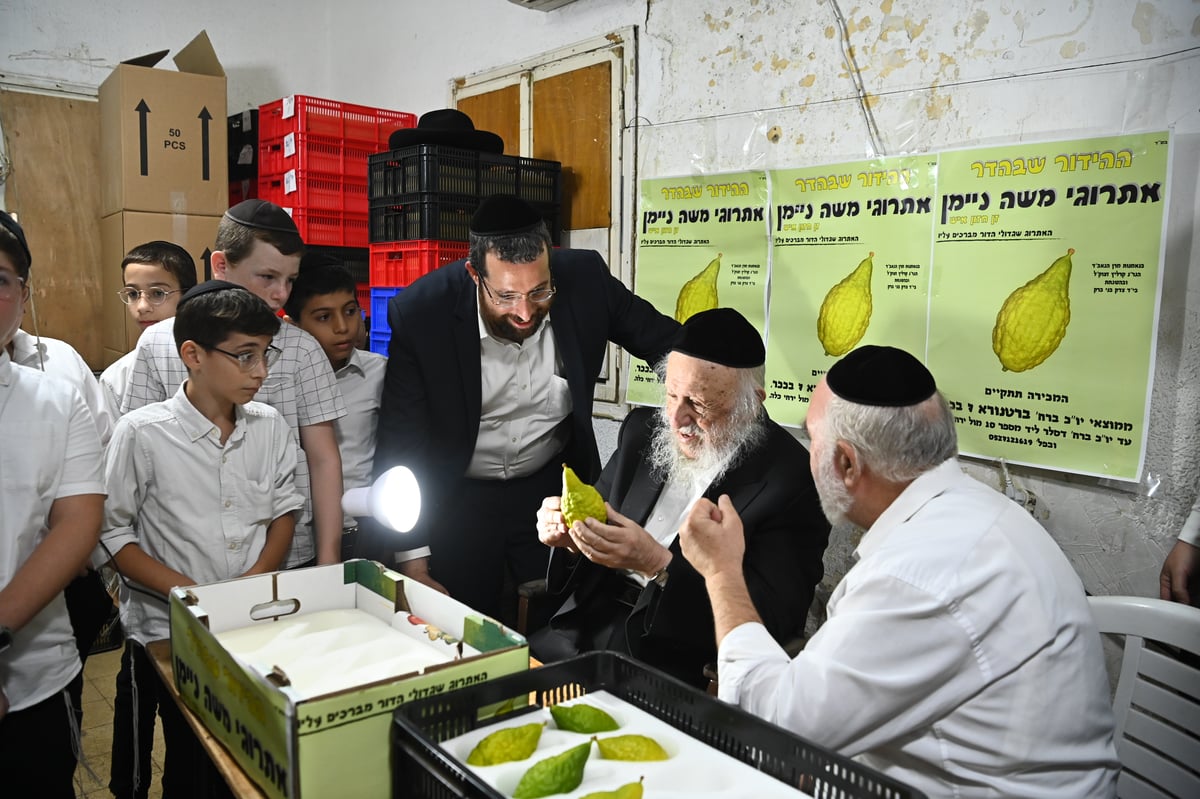 הגרב"ד פוברסקי בבדיקת אתרוגים לחג הסוכות 