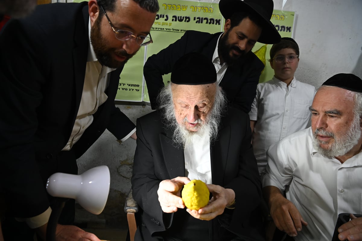 הגרב"ד פוברסקי בבדיקת אתרוגים לחג הסוכות 