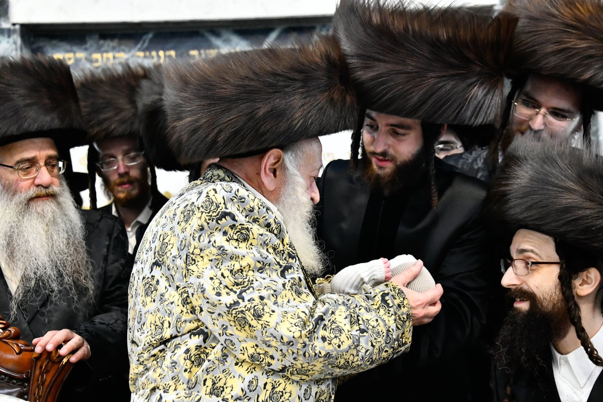 שמחת הפדיון הבן בחצרות ויז'ניץ - סאטמר - דעעש 