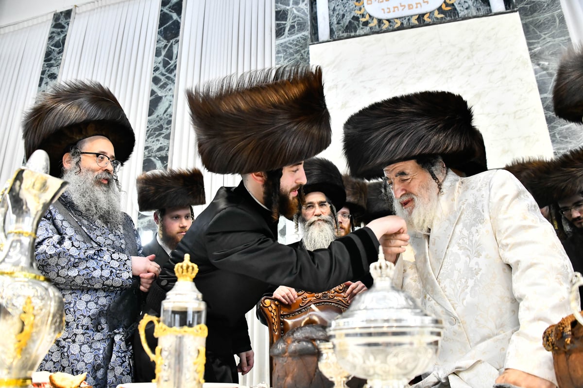 שמחת הפדיון הבן בחצרות ויז'ניץ - סאטמר - דעעש 